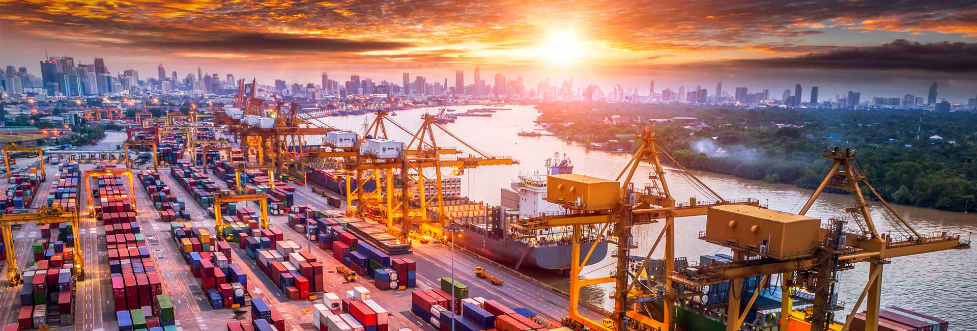 Wacky Advisors | Production and supply chain